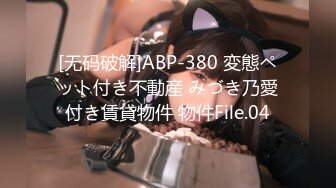 [无码破解]ABP-380 変態ペット付き不動産 みづき乃愛付き賃貸物件 物件File.04