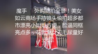 【新片速遞】 商场女厕小手电补光偷拍❤️多位美女小姐姐的肥美嫩鲍鱼[1470M/MP4/01:30:00]