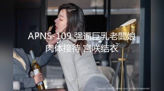 APNS-109 强逼巨乳老闆娘肉体接待 宫咲结衣