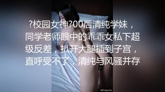 高超口技的女仆