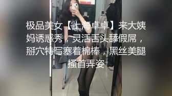 完成性投诉处理的资深办公室女士