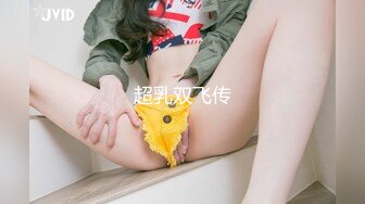 超乳双飞传