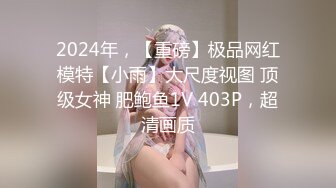 2024年，【重磅】极品网红模特【小雨】大尺度视图 顶级女神 肥鲍鱼1V 403P，超清画质