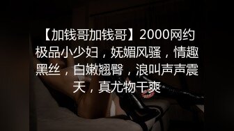 【加钱哥加钱哥】2000网约极品小少妇，妩媚风骚，情趣黑丝，白嫩翘臀，浪叫声声震天，真尤物干爽